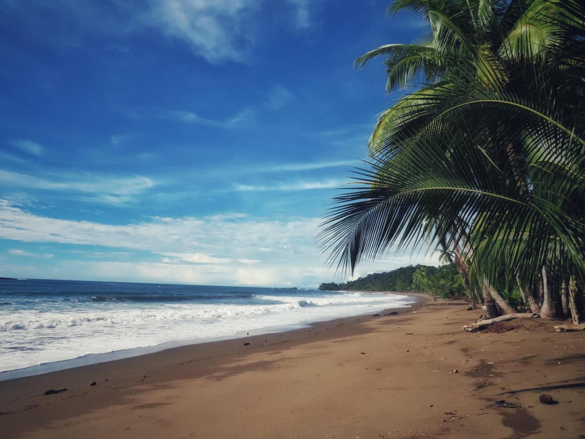 Отель Bella Vista Corcovado Драке Экстерьер фото